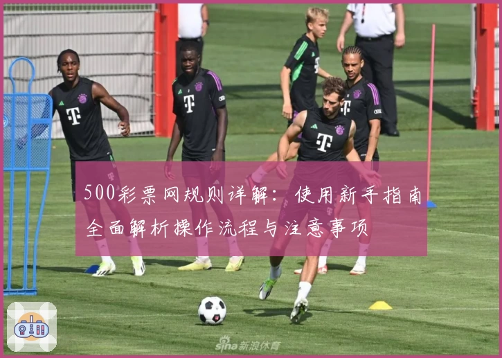 500彩票网规则详解:使用新手指南全面解析操作流程与注意事项