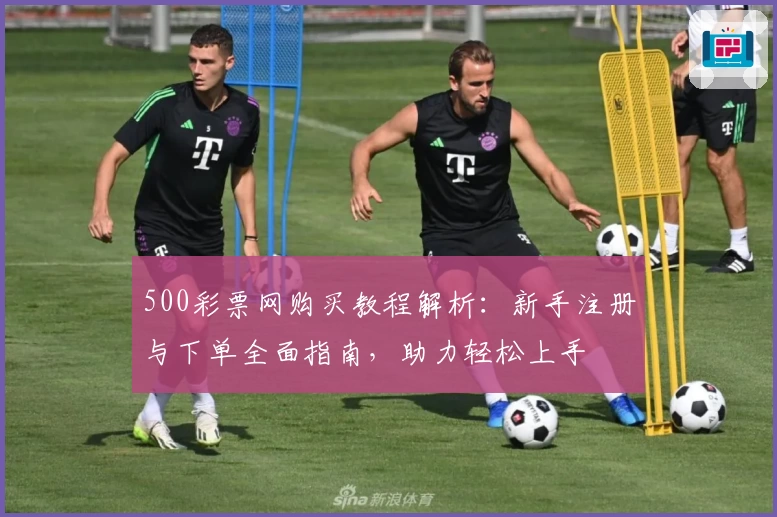 500彩票网购买教程解析：新手注册与下单全面指南，助力轻松上手
