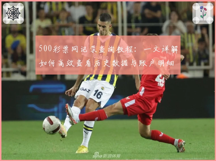 500彩票网记录查询教程：一文详解如何高效查看历史数据与账户明细